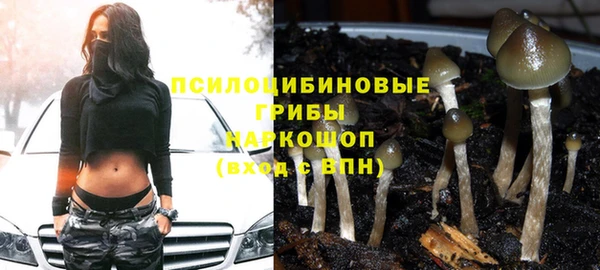 спайс Абинск