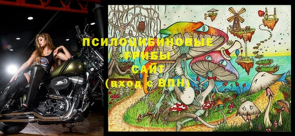 спайс Абинск