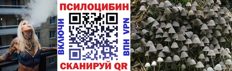 Галлюциногенные грибы мицелий  Шахты 