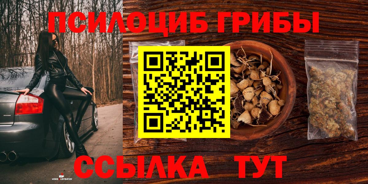 Шахты  Галлюциногенные грибы GOLDEN TEACHER  Вход с VPN 