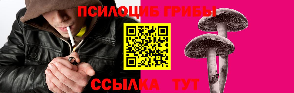Псилоцибиновые грибы ЛСД Шахты